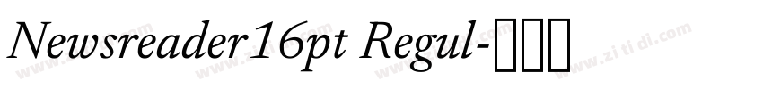 Newsreader16pt Regul字体转换